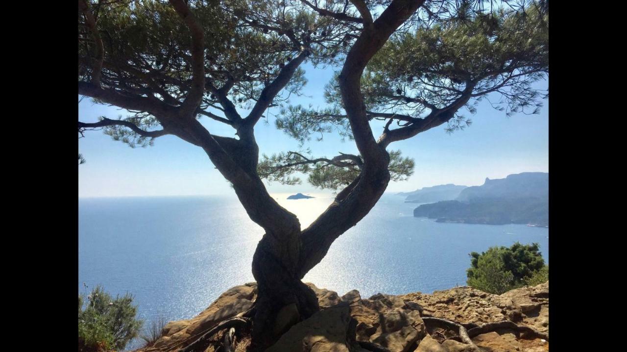 Appart Port Cassis Village Parking エクステリア 写真